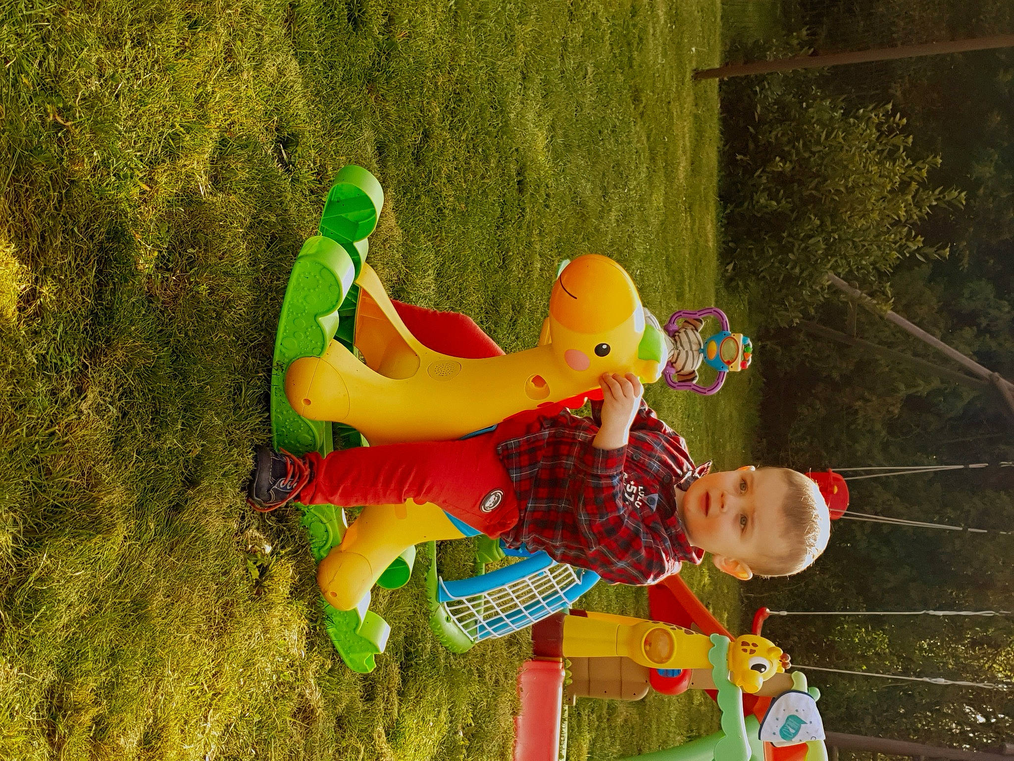 Sowein participe au concours pour gagner de l'argent avec cette photo : fawn, fun, green, leisure, organism, person, plant, play, tree