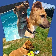 Pikachu a rejoint le concours — aidez-le/la à gagner de superbes lots !