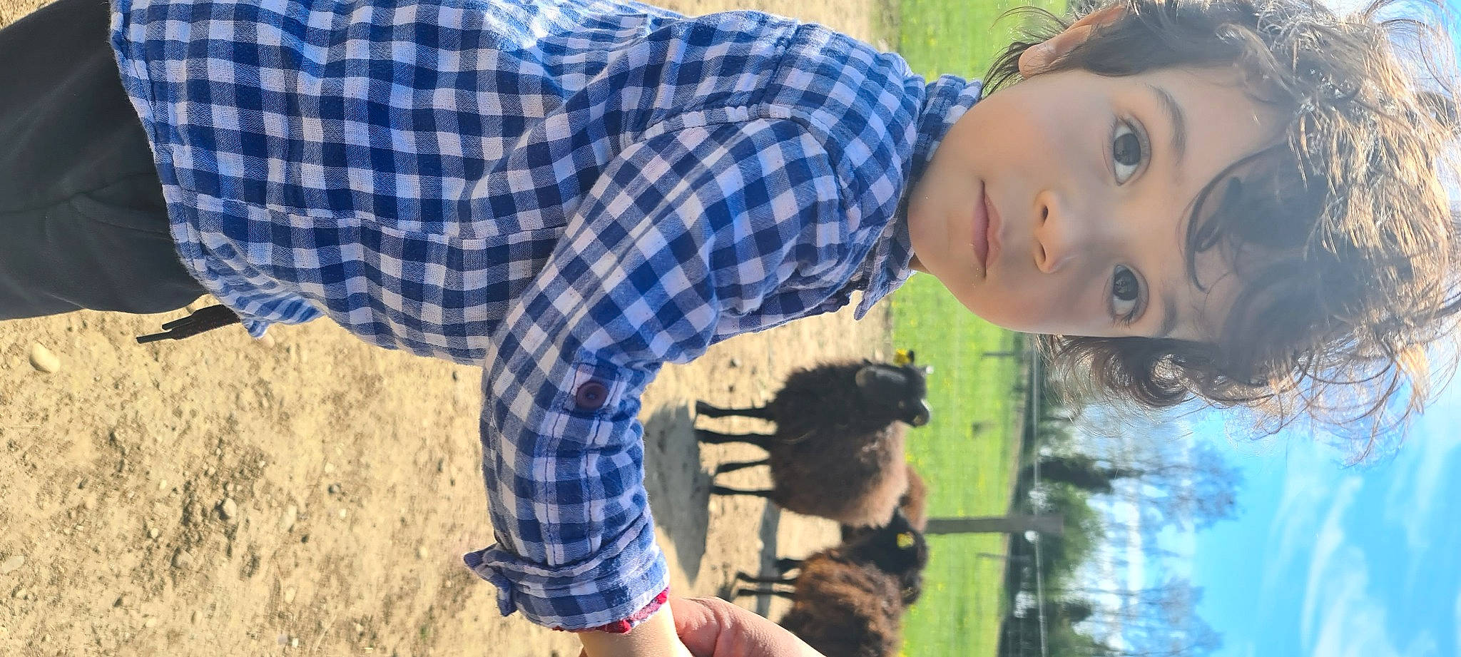 Liam a rejoint le concours — aidez-le/la à gagner de superbes lots ! black_hair, blue, child, eyewear, fun, grass, hand, happy, leisure, pattern, people_in_nature, person, plaid, plant, play, recreation, sitting, soil, tartan, tree