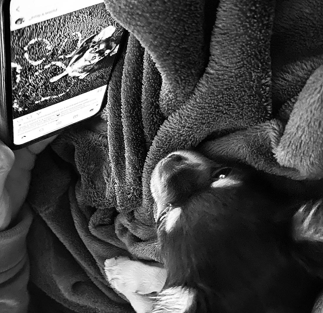 Emy participe au concours pour gagner de l'argent avec cette photo : black_and_white, close_up, comfort, elbow, fur, gesture, grey, human_body, human_leg, leg, linens, monochrome, monochrome_photography, pattern, petal, plant, still_life_photography, style, textile, wrinkle