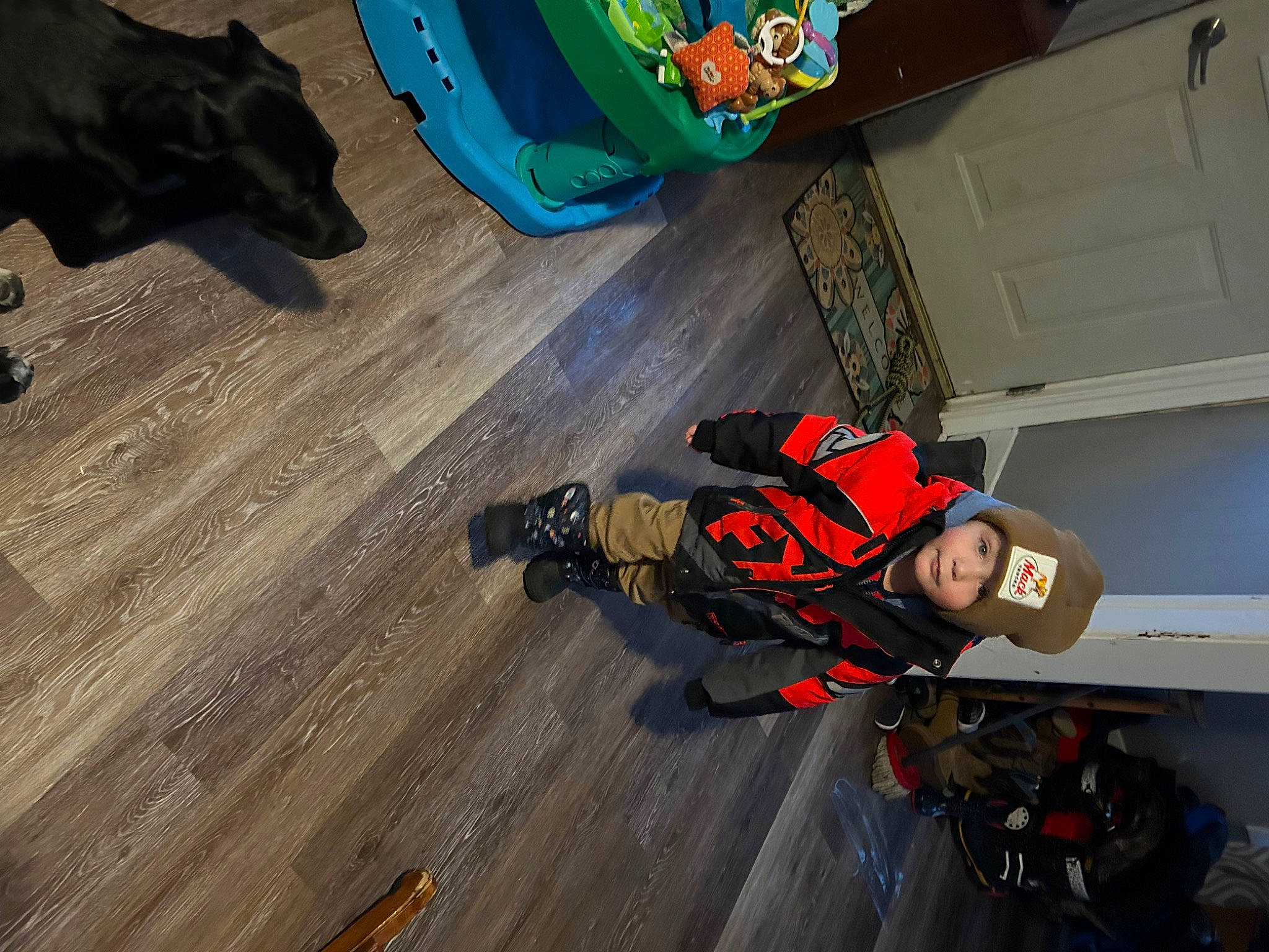 Clayton is registered to the contest to win money with this photo: adventure, dog, flooring, fun, hardwood, headwear, laminate_flooring, person, personal_protective_equipment, plank, plastic, plywood, recreation, room, varnish, wood, wood_flooring, wood_stain, working_animal