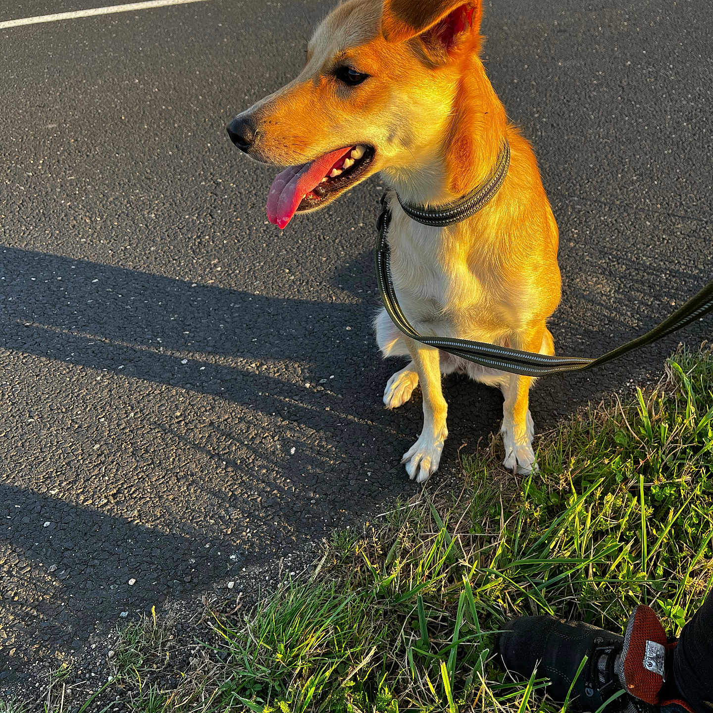 Lili