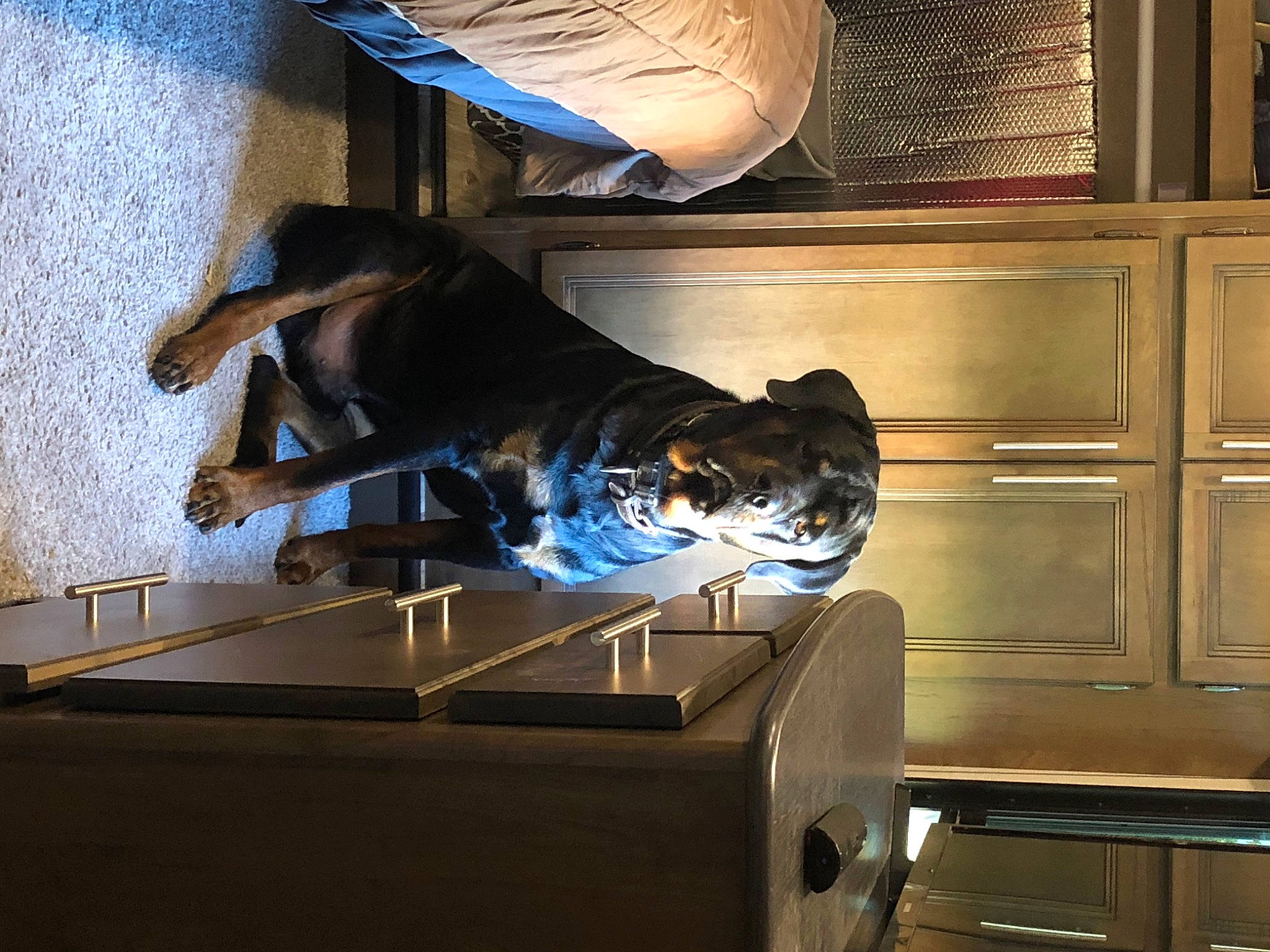 Diesel is registered to the contest to win money with this photo: art, automotive_design, automotive_lighting, cabinetry, drawer, elbow, flooring, fun, glass, hardwood, machine, metal, reflection, room, sitting, space, tourist_attraction, visual_arts, wood, wrist