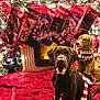 dog, labrador, christmas, fireplace, stockings, holiday_decorations, scarf, festive_lights, red_blanket, smiling_dog, indoor, cozy, decorated_mantel, stuffed_animal, christmas_balls, garland, portrait, warm_lighting, celebration, pet