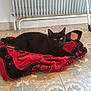 black_cat, cat, blanket, red_blanket, floor_tiles, tile_pattern, indoor, radiator, resting_cat, pet, animal, cozy, feline, domestic_cat, laying, comfort, household, warm, quiet, relaxation