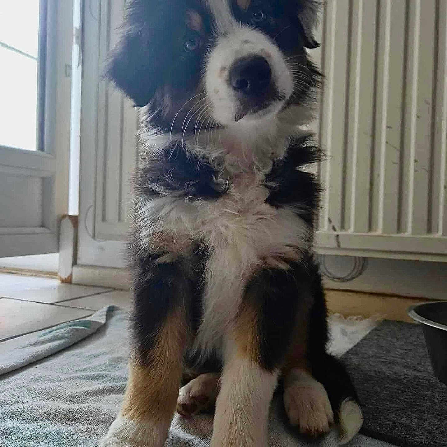 Abby