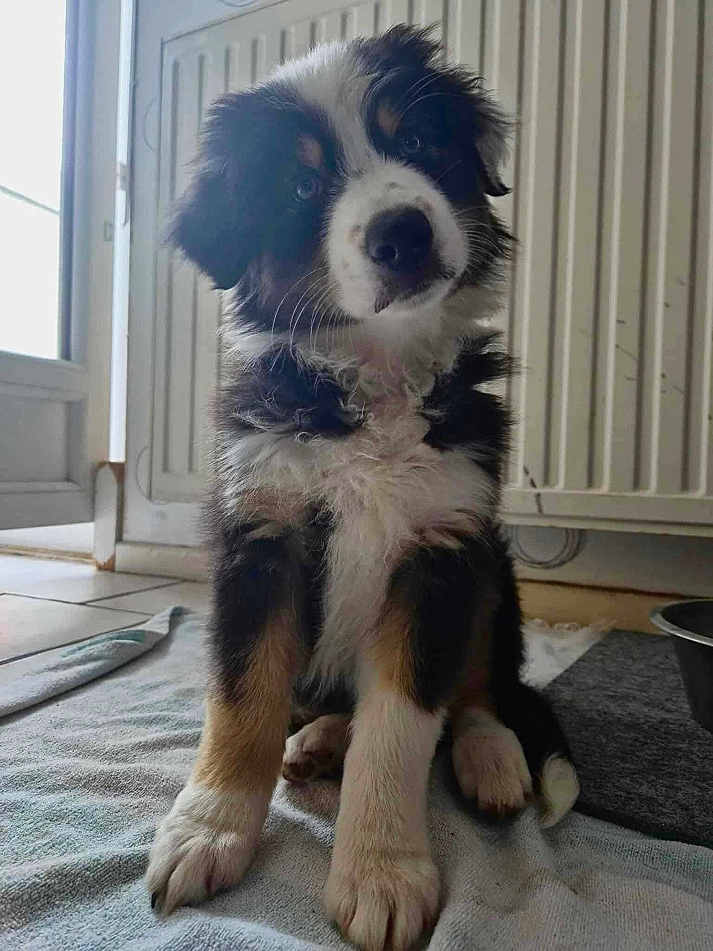 Abby