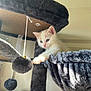 Snowball joined the competition — help win amazing prizes! kitten, cat, cat_tree, hammock, fuzzy_toy, white_fur, blue_eyes, pet, indoor, playful, curious, feline, soft_light, cozy, fur, animal, cute, young, paw, resting