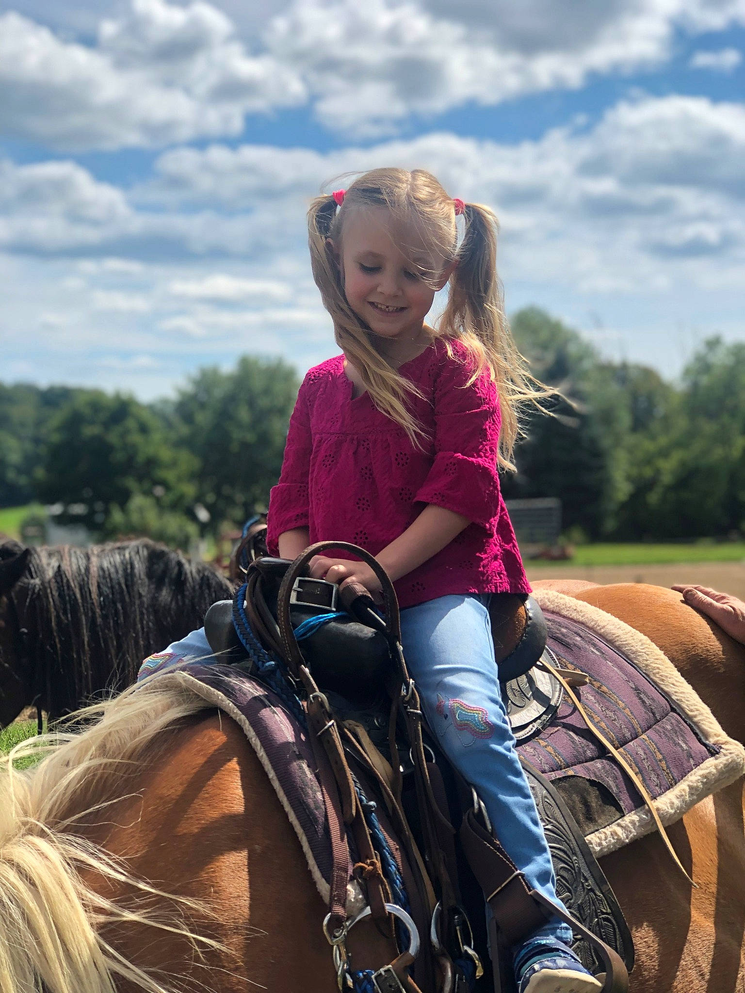 Mackinley joined the competition — help win amazing prizes! bridle, equestrianism, grass, grassland, horse, horse_harness, horse_tack, joy, landscape, leisure, mane, mare, pack_animal, person, plant, ranch, recreation, rein, rural_area, stallion