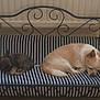 dog, bench, striped_cushion, resting, sleeping, pet, indoor, furniture, metalwork, small_dog, brown_dog, light_brown_dog, cute, cozy, quiet, animal, companion, relaxing, home, cute_pet