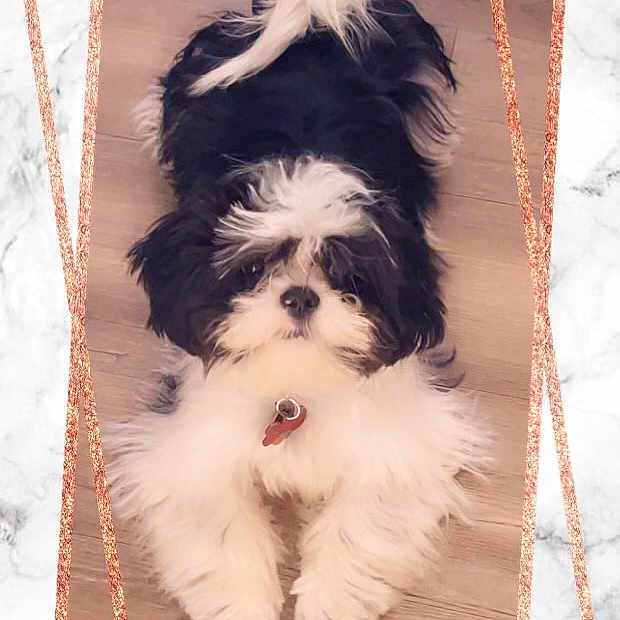 Bruce