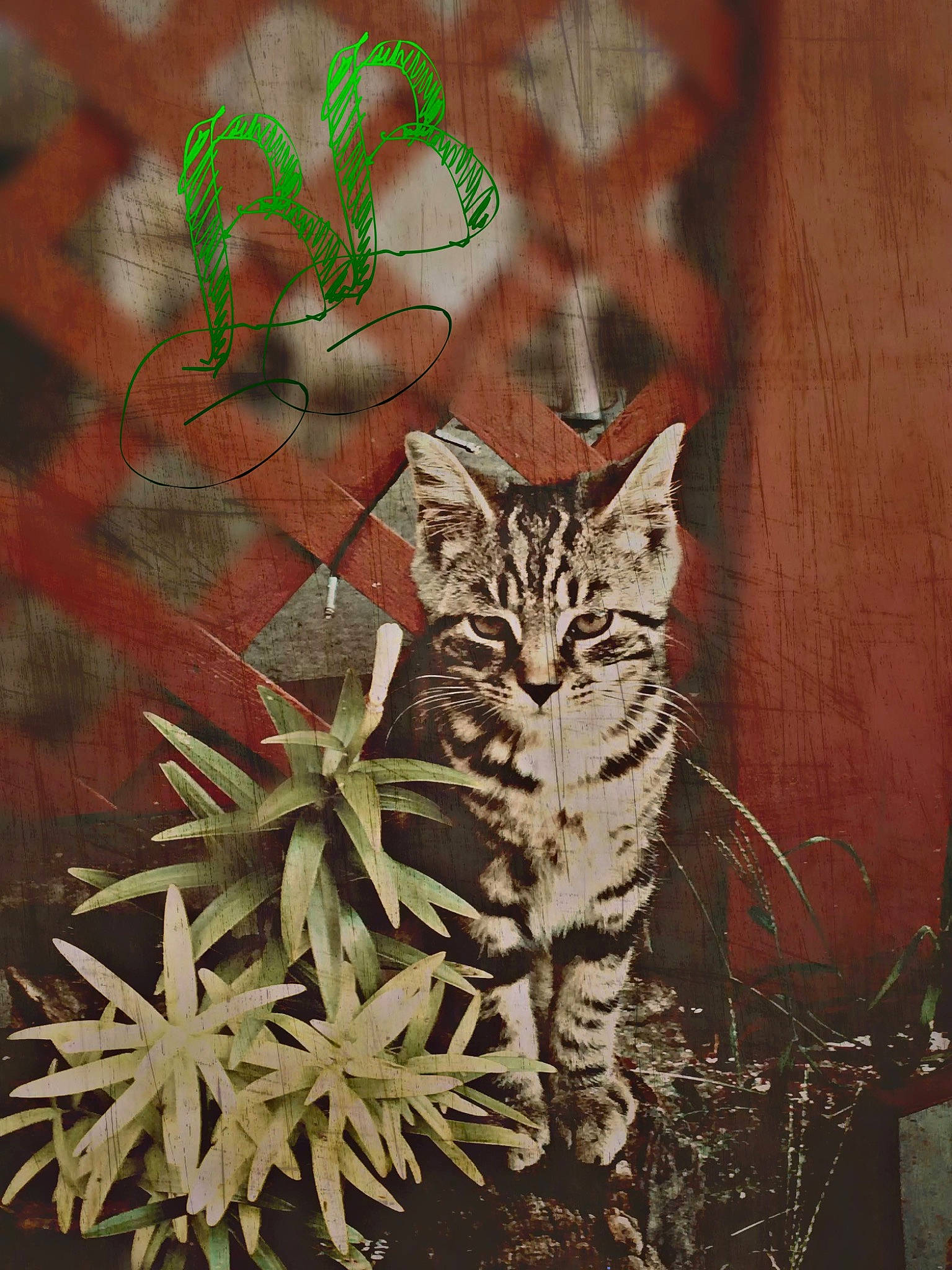 Butterball is registered to the contest to win money with this photo: adaptation, art, carnivore, cat, domestic_short_haired_cat, door, fawn, felidae, fur, grass, organism, pattern, plant, small_to_medium_sized_cats, tail, terrestrial_animal, terrestrial_plant, whiskers, wood, woody_plant