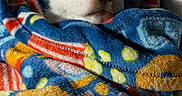 Enzo is registered to the contest to win money with this photo: dog, puppy, pet, animal, white_fur, brown_fur, blue_eyes, nose, face, portrait, blanket, wrapped, cozy, sleeping, lying_down, indoors, bed, wood_floor, colorful, close_up