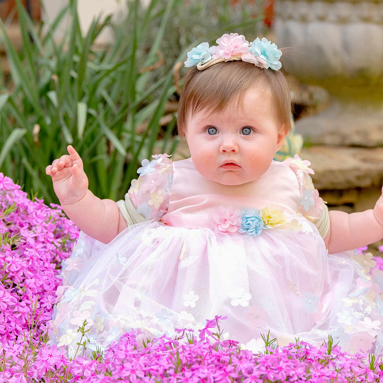 Hallie is registered to the contest to win money with this photo: baby, bodypart, clothing, daisy, dress, face, finger, flower, flowerarrangement, flowerbouquet, geranium, grass, hand, head, person, petal, photography, plant, portrait, purple