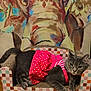 Bubbles joined the competition — help win amazing prizes! cat, gray_cat, pink_dress, polka_dot, cardboard_couch, indoor, wooden_floor, painting, elephant_art, colorful, pet, relaxed, feline, animal, decor, artwork, cute, portrait, sitting, domestic