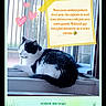 cat, black_and_white, windowsill, window, indoor, pet, animal, relaxing, feline, heart_doodles, sticky_note, text_overlay, tape, bars, greenery, daylight, fur, resting, cute, domestic
