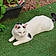 Sybelle