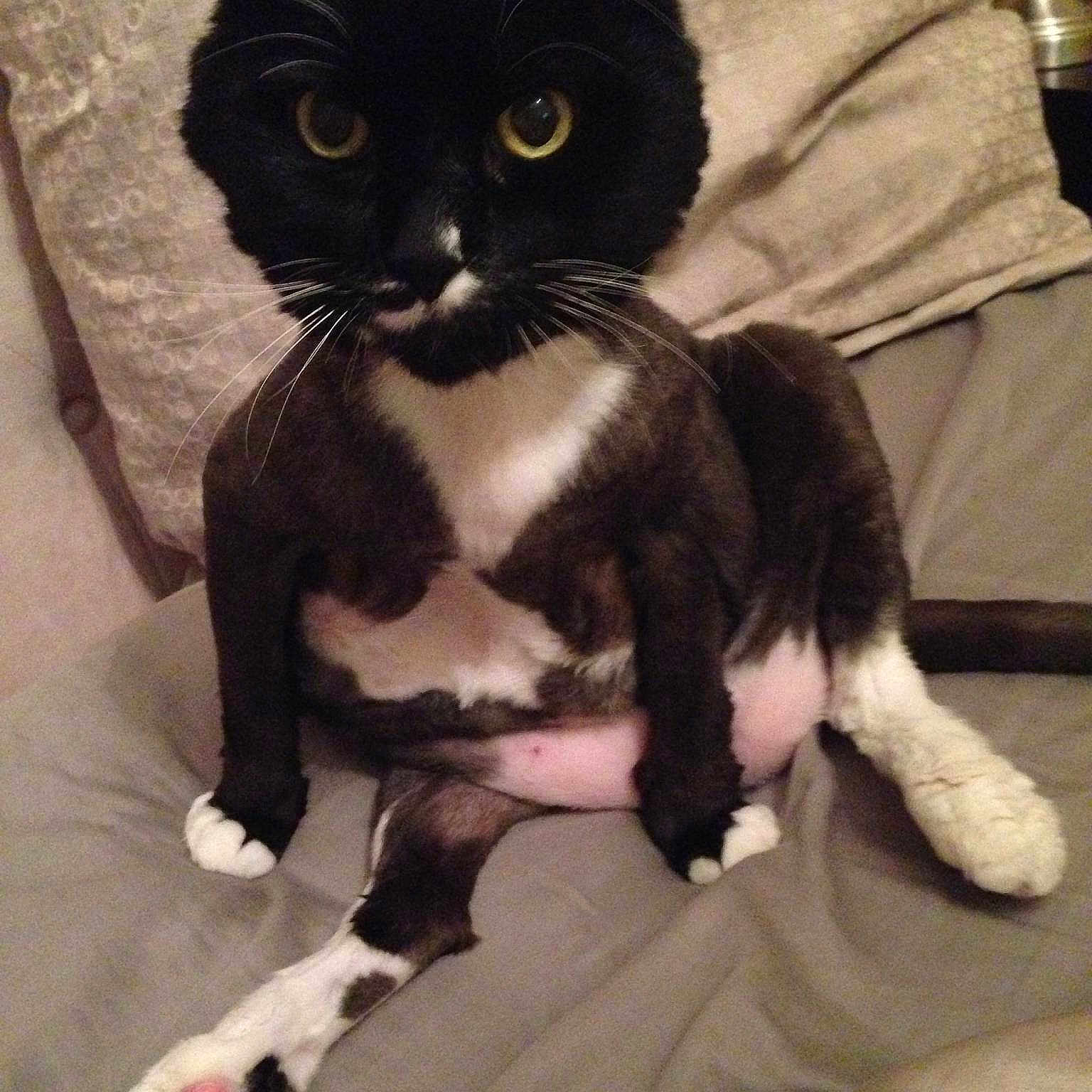 Tical joined the competition — help win amazing prizes!