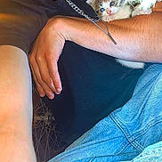 Baghera participe au concours pour gagner de l'argent avec cette photo : person, headphones, necklace, kitten, cat, jeans, arm, hand, black_shirt, blue_jeans, close_up, indoor, casual, pet, animal, cute, curious, comfort, holding, resting