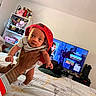 baby, child, person, hand, tattoo, bed, bedroom, cap, red_cap, clothing, furniture, television, shelf, indoor, casual, expression, cute, holding, smiling, home