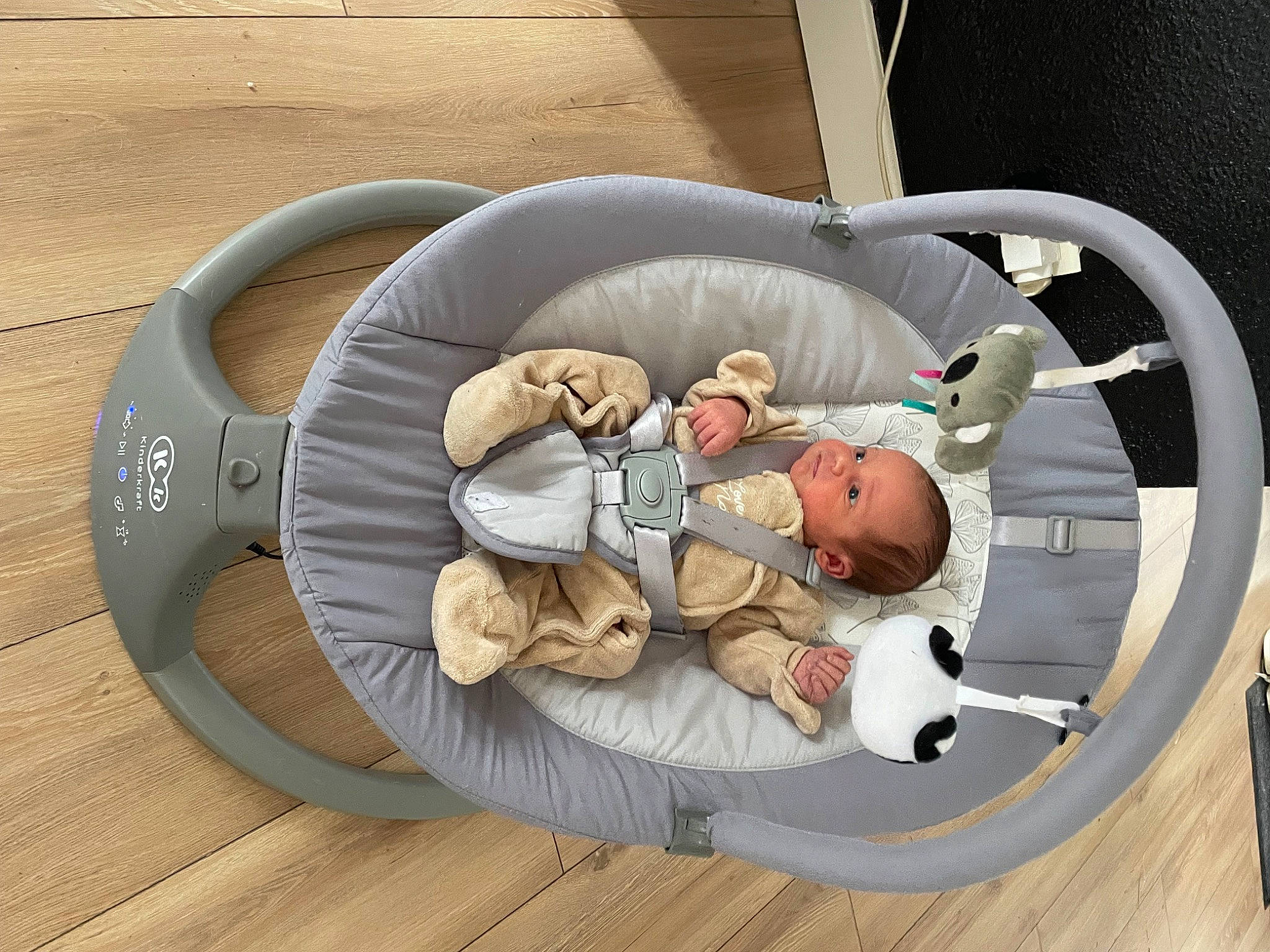 Jules participe au concours pour gagner de l'argent avec cette photo : art, auto_part, baby_products, baby_toddler_clothing, child, circle, comfort, flooring, font, hardwood, laundry_basket, person, recreation, toddler, wood, wood_flooring