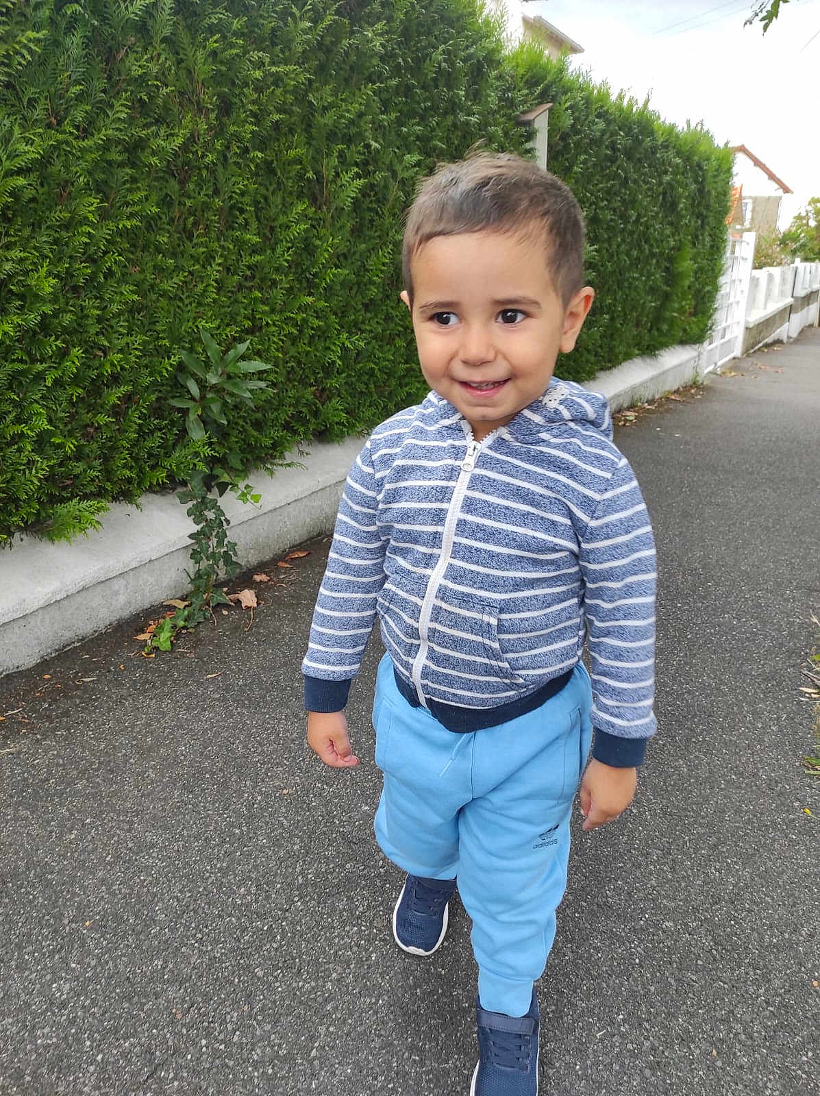 Alex