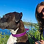 blue_sky, casual, dog, grass, greenery, human, lake, leash, nature, outdoor, peaceful, portrait, purple_collar, side_profile, summer, sunglasses, sunlight, water, wildflowers, woman