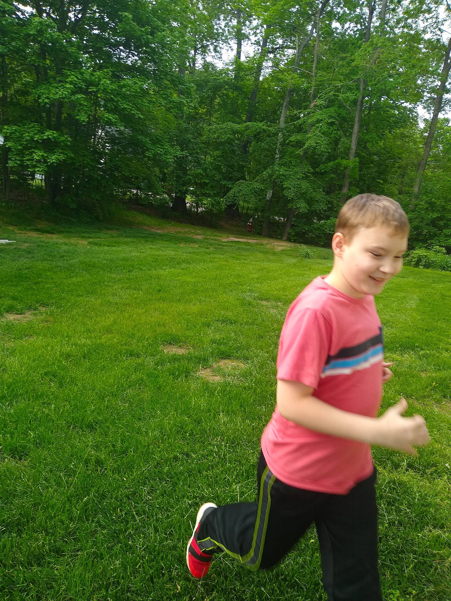 Jason is registered to the contest to win money with this photo: child, fun, garden, grass, grassland, green, groundcover, happy, joy, lawn, leisure, meadow, people_in_nature, person, plant, play, recreation, shorts, shrub, smile