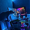 Shelley joined the competition — help win amazing prizes! cat, computer, monitor, keyboard, led_lights, desk, gaming_pc, snacks, bottle, hand, mouse, technology, blue_light, indoor, pet, electronics, cable, screen, gamer, collar