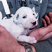 Sparco a rejoint le concours — aidez-le/la à gagner de superbes lots !