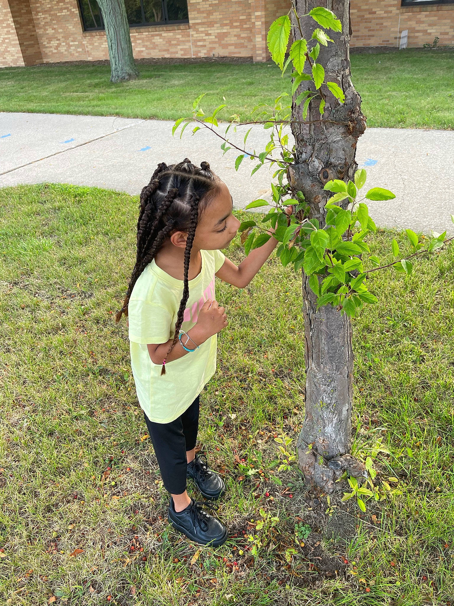 Hailee joined the competition — help win amazing prizes! botany, child, fun, garden, gesture, grass, grass_family, groundcover, happy, lawn, leaf, leisure, people_in_nature, person, plant, shrub, soil, terrestrial_plant, toddler, trunk
