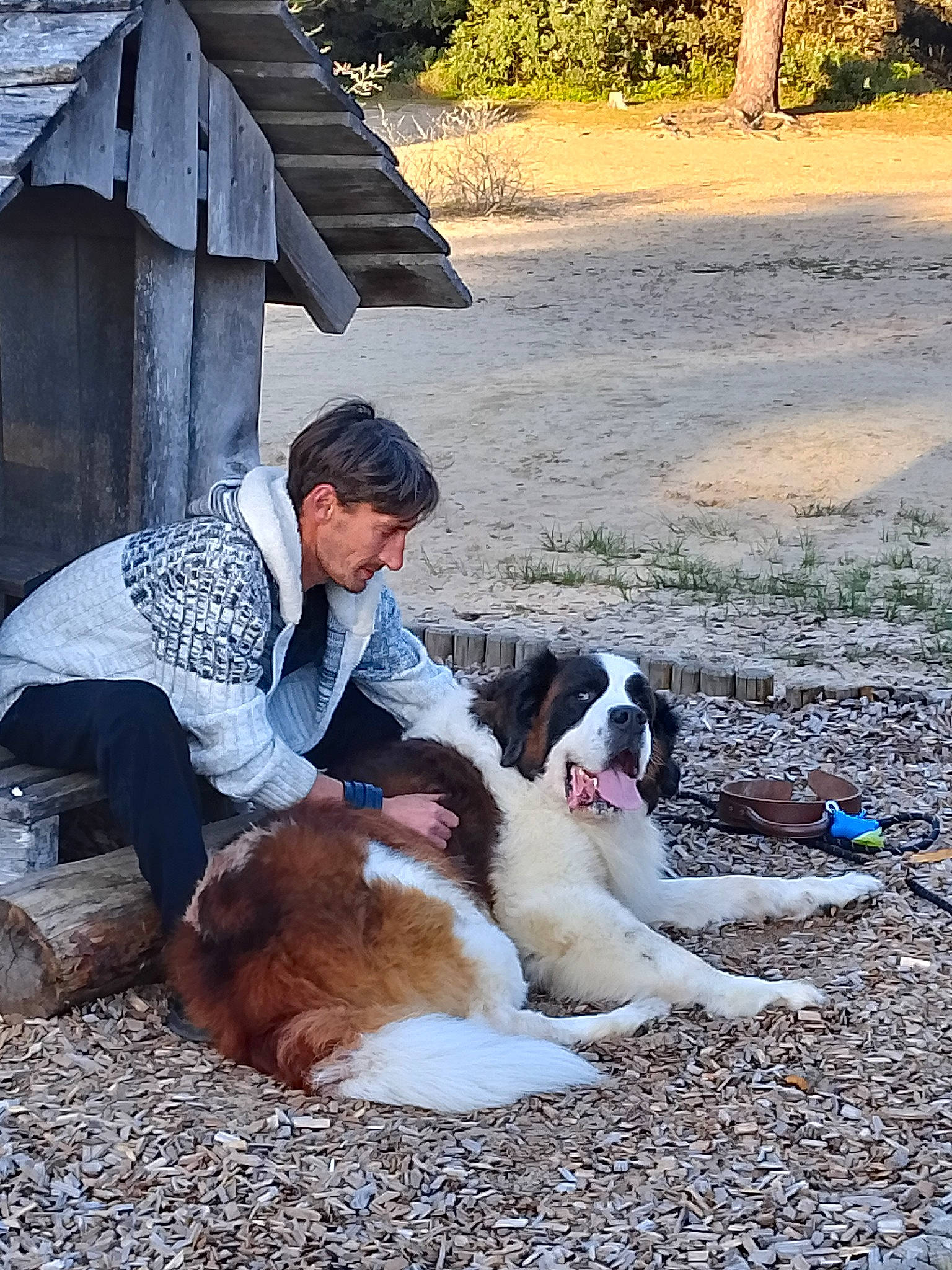 Kawoof a rejoint le concours — aidez-le/la à gagner de superbes lots ! canidae, carnivore, companion_dog, dog, dog_breed, fashion_accessory, fawn, fur, grass, hat, lap, leisure, mammal, plant, shade, sitting, soil, sporting_group, tree, umbrella