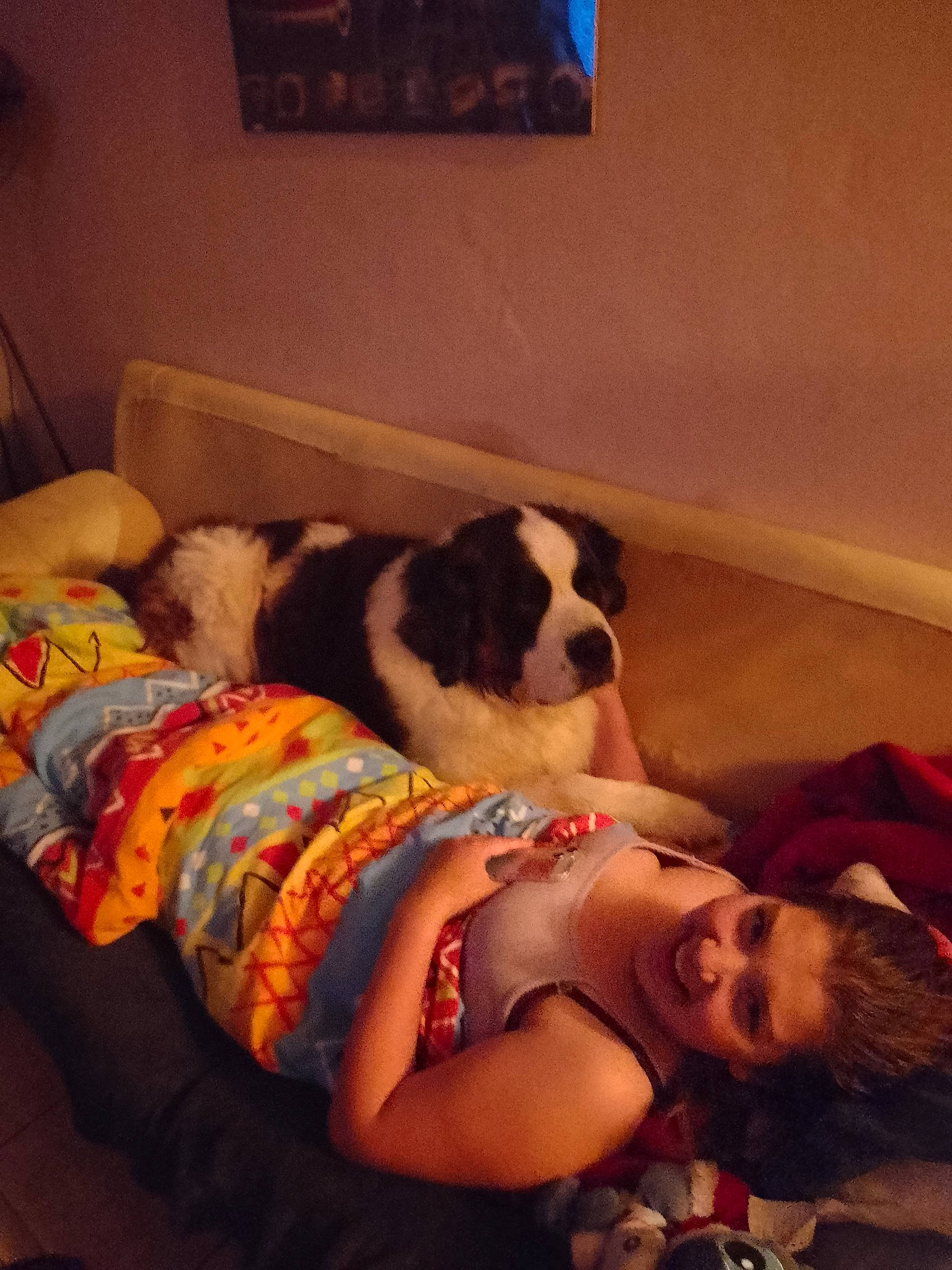 Kawoof participe au concours pour gagner de l'argent avec cette photo : abdomen, canidae, carnivore, comfort, companion_dog, couch, dog, dog_breed, flooring, fur, human_leg, lap, linens, living_room, nap, picture_frame, room, smile, sporting_group, thigh