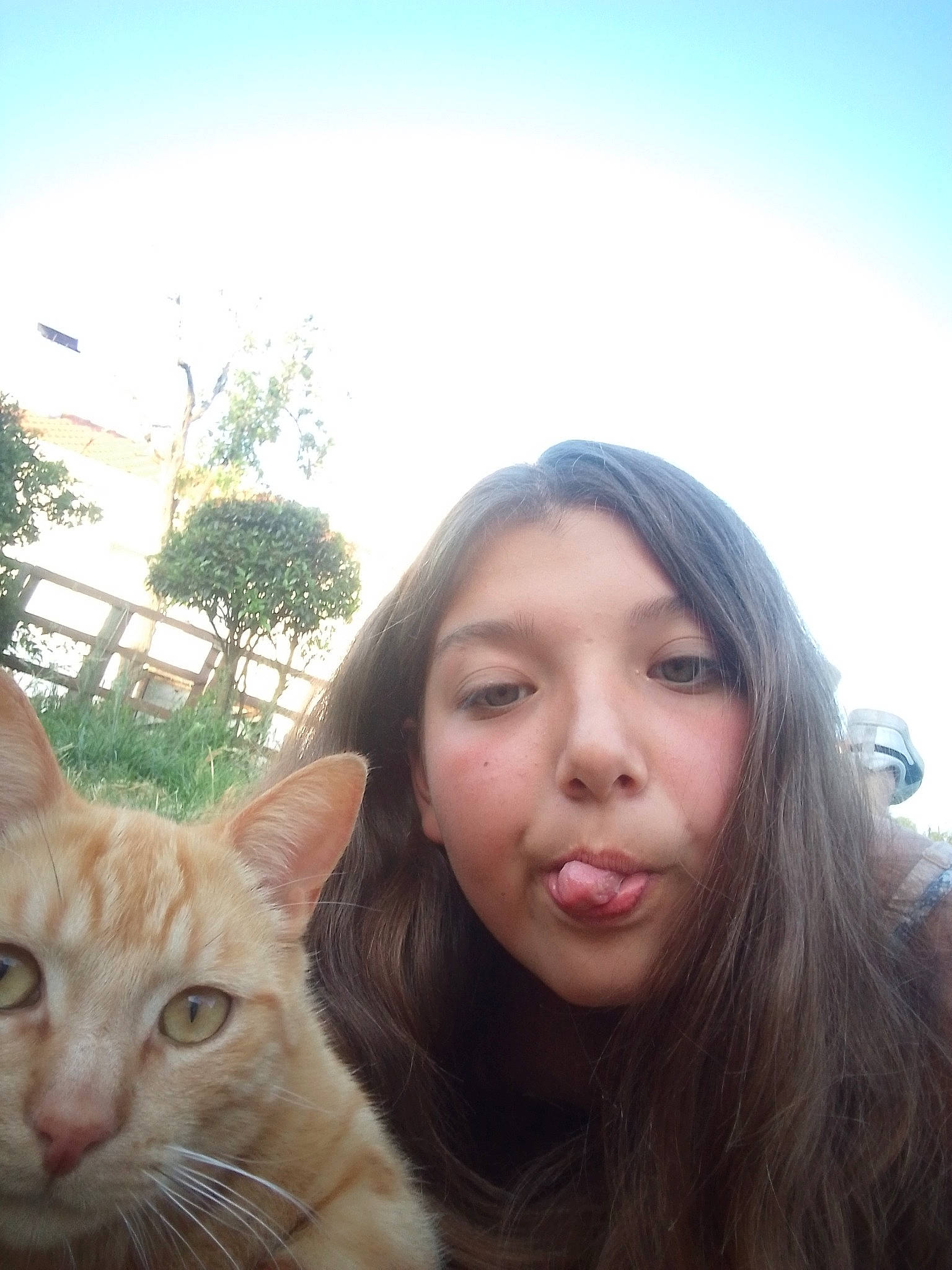 Beeboutch a rejoint le concours — aidez-le/la à gagner de superbes lots ! brown_hair, carnivore, cat, domestic_short_haired_cat, fawn, felidae, fur, grass, happy, head, iris, layered_hair, lip, nose, plant, selfie, sky, small_to_medium_sized_cats, tree, whiskers