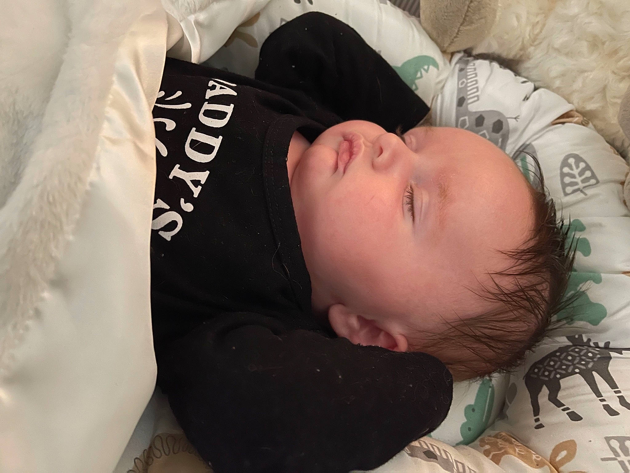 Curtis joined the competition — help win amazing prizes! baby, baby_toddler_clothing, cheek, child, comfort, eye, eyebrow, eyelash, face, forehead, fur, head, linens, lip, pattern, person, room, skin, sleeve, toddler