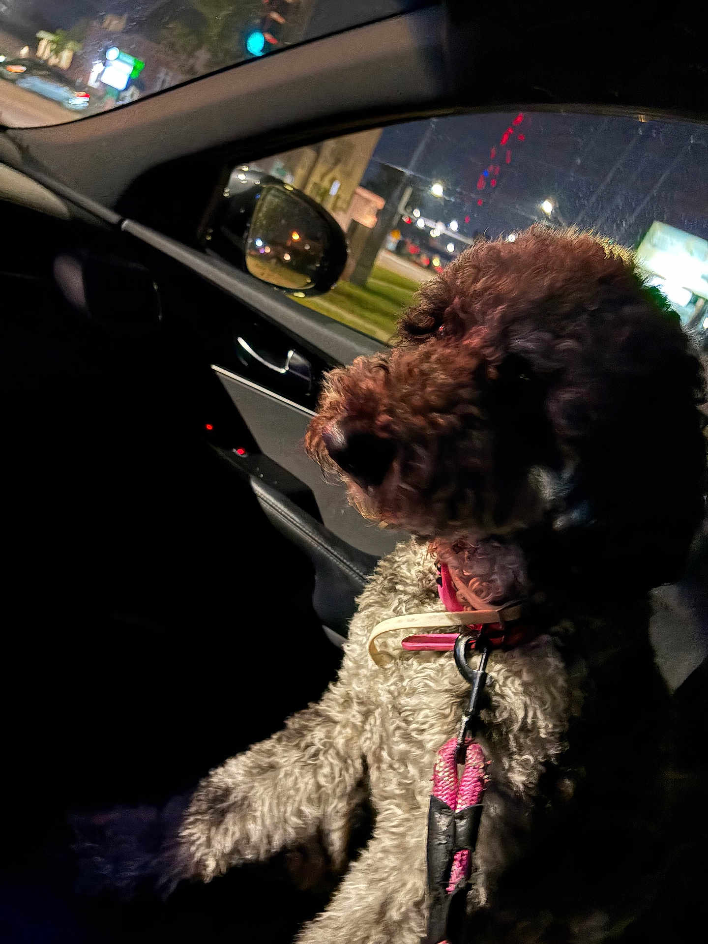 Roxie
