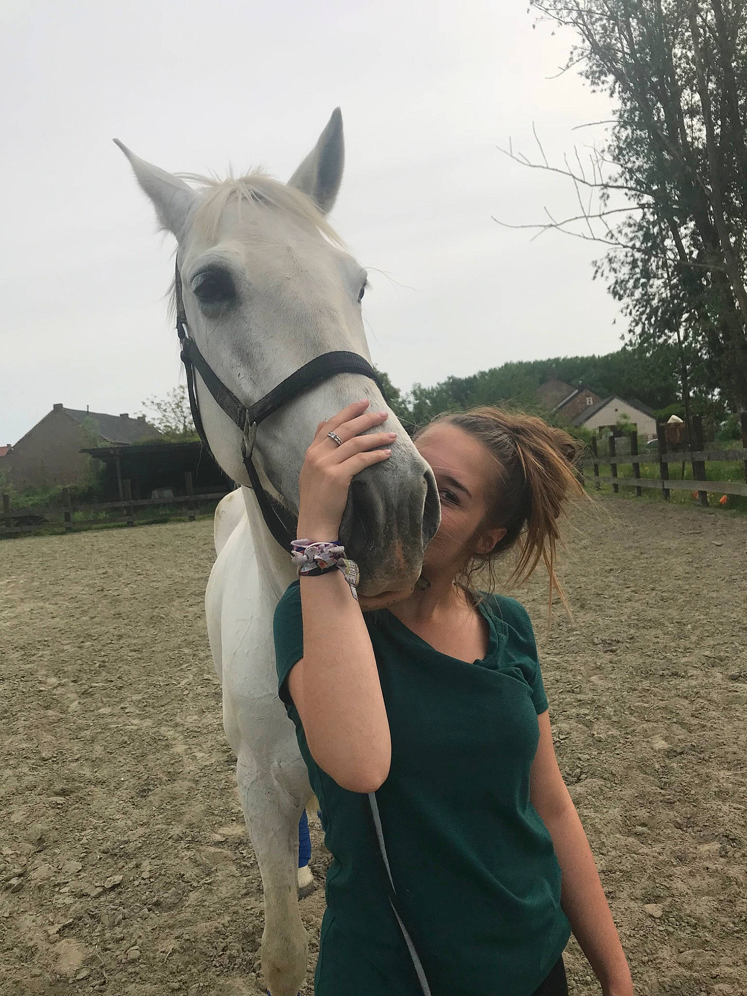 Dolfie a rejoint le concours — aidez-le/la à gagner de superbes lots ! blond, bridle, cool, ear, eye, hair, halter, horse, horse_grooming, horse_supplies, horse_tack, mane, neck, nose, photography, rein, riding_instructor, skin, smile, snout