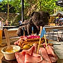 dog, charcuterie_board, ham, olives, breadsticks, outdoor_cafe, trees, people, table, wooden_board, glass_of_beer, greenery, leash, patrons, food, snack, daylight, picnic, relaxing, summer