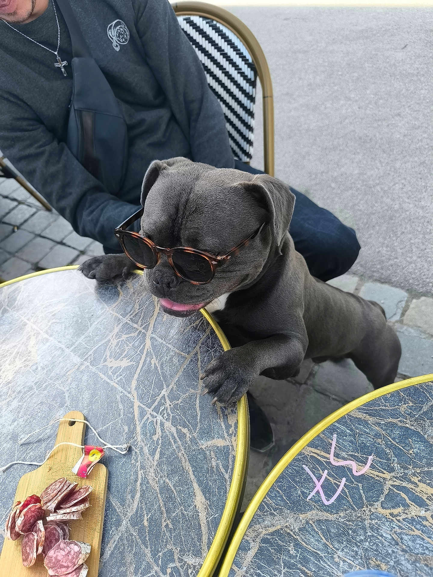 Tyson a rejoint le concours — aidez-le/la à gagner de superbes lots ! dog, sunglasses, table, marble_pattern, outdoor, person, sitting, food, meat, wooden_board, pavement, casual_clothing, black_dog, pet, leisure, daylight, chair, accessory, tongue_out, hand