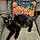 Binx
