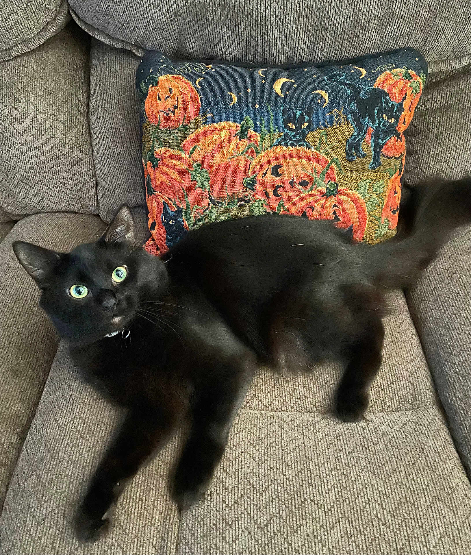 Binx