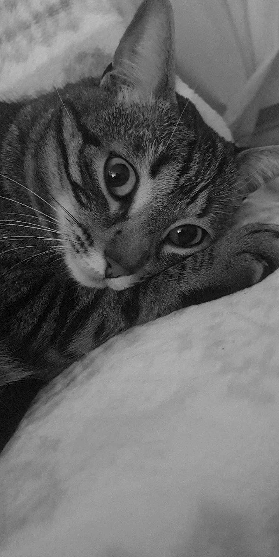 Kiki