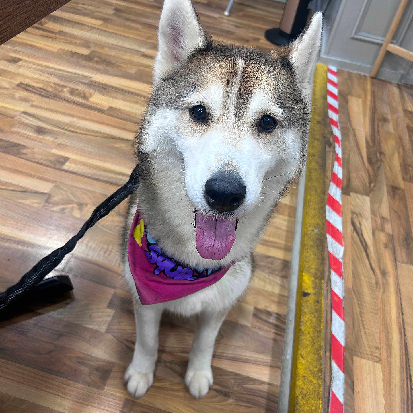 Yuki