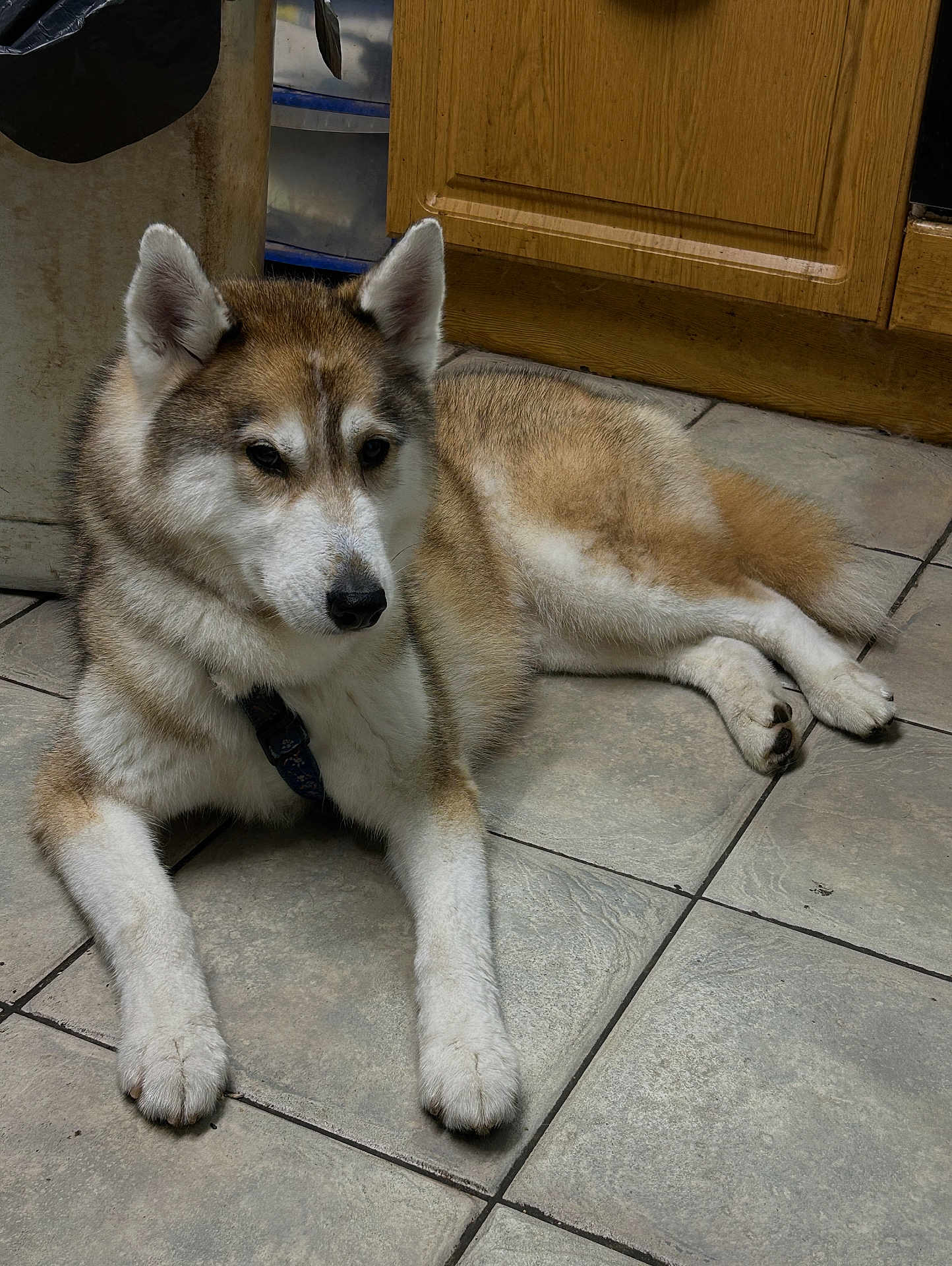 Yuki