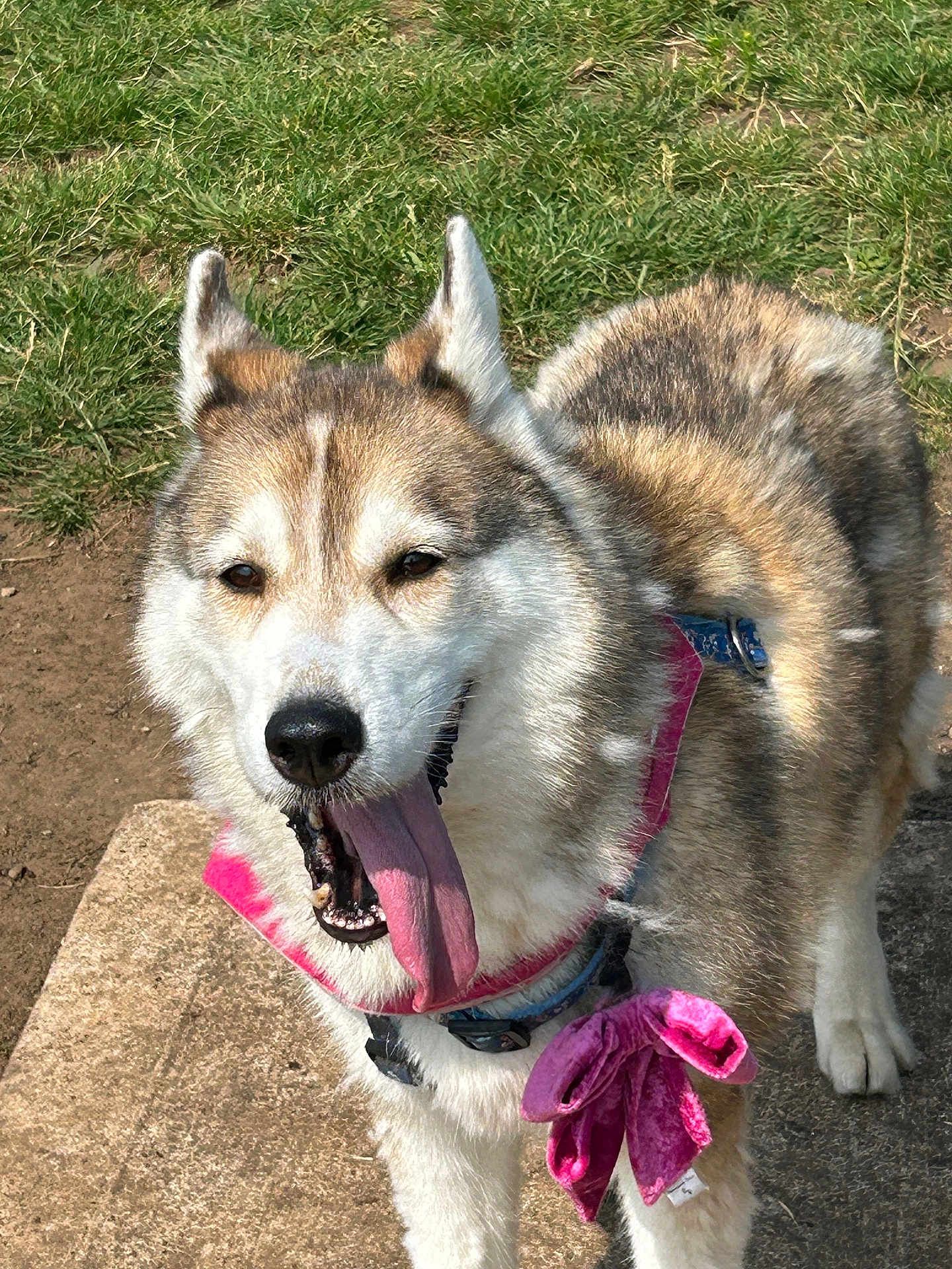 Yuki