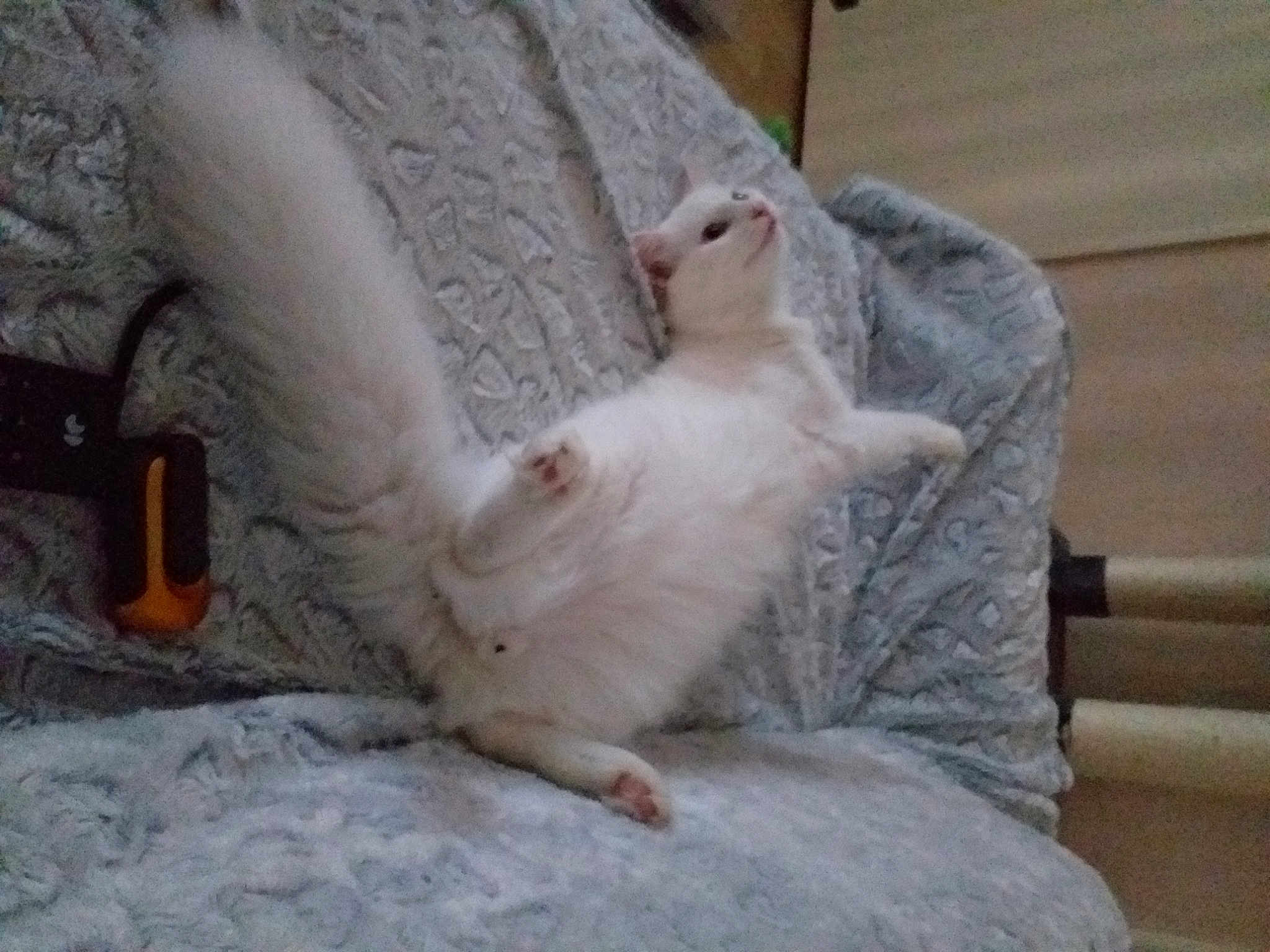 Moumoune