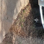 Tubby is registered to the contest to win money with this photo: alloy_wheel, asphalt, automotive_design, automotive_exterior, automotive_lighting, automotive_mirror, automotive_tire, automotive_wheel_system, bumper, fender, hood, motor_vehicle, rim, road_surface, synthetic_rubber, tire, tread, vehicle, vehicle_door, wheel