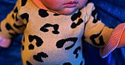 Xamarah Jourmani is registered to the contest to win money with this photo: baby, sleeping, infant, pink_bow, headband, leopard_print, onesie, blue_blanket, soft_skin, peaceful, cute, child, portrait, indoors, warm_lighting, cozy, newborn, apparel, resting, adorable