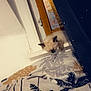 Channel a rejoint le concours — aidez-le/la à gagner de superbes lots ! kitten, cat, sleeping, windowsill, curtain, bed, bedding, pattern, indoor, cozy, animal, pet, feline, cute, resting, window, wood, soft_light, home, quiet