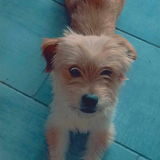 Ruby